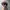 Japanese brand Vintage Y2K Hat Pria gray photo 3