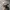 Japanese brand Vintage Y2K Hat Pria gray photo 1