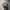 Japanese brand Vintage Y2K Hat Pria gray photo 2