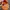 Japanese brand Streetwear Casual Hat Pria orange photo 4