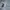 Polo Ralph Lauren Luxury Formal shirt Pria blue photo 2