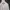 Hard Rock Cafe Vintage Hoody Pria cream photo 2