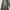 ECKO UNLTD Y2K Skater Jeans Pria black gray photo 4