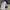 Adidas Streetwear Sportswear Jersey Pria black photo 7