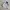 Japanese brand Streetwear Sportswear Windbreaker Pria black gray photo 1