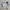 Japanese Brand Streetwear Sportswear Windbreaker Pria Black Gray