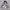Japanese brand Streetwear Sportswear Windbreaker Pria black gray photo 4