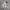 Streetwear Sportswear Windbreaker Pria gray photo 1