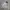 Streetwear Sportswear Windbreaker Pria Gray