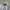 Streetwear Sportswear Windbreaker Pria gray photo 7