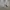Streetwear Sportswear Windbreaker Pria gray photo 3