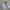 Streetwear Sportswear Windbreaker Pria gray photo 4