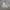 Streetwear Sportswear Windbreaker Pria gray photo 2