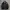 Versace Luxury Windbreaker Pria gold black photo 1