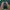 Japanese brand Vintage Streetwear Polo shirt Pria green photo 2