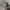 Casual Jumper Pria gray photo 4