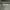 Casual Jumper Pria gray photo 2