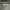 Casual Jumper Pria Gray
