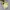 The North Face Minimalist Casual Windbreaker Kids yellow photo 1