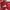 The North Face Minimalist Casual Windbreaker Kids red photo 4