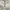 Japanese brand Vintage Casual Blouse Wanita white photo 3