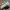 New Balance Streetwear Skater Sneakers Pria gray photo 3
