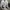 New Balance Streetwear Skater Sneakers Pria gray photo 5