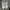 Skechers Streetwear Casual Sneakers Kids white black photo 6