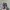 Skechers Streetwear Casual Sneakers Kids white black photo 2