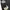 Japanese brand Vintage Indie T-shirt Pria black photo 6