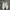 Converse Streetwear Skater Sneakers Wanita cream photo 4
