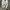 Converse Streetwear Skater Sneakers Wanita cream photo 2