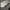 Reebok Skater Casual Sneakers Pria white photo 3