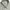 Yves Saint Laurent YSL Minimalist Casual Formal shirt Pria white photo 1