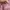 Casual Casual dress Wanita pink photo 3