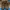 Adidas Streetwear Y2K Sneakers Pria white brown photo 2