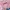 Supreme Streetwear Casual Sweater Wanita pink photo 3