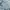 Polo Ralph Lauren Casual Polo Shirt Pria Gray