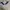 Adidas Streetwear Y2K Windbreaker Pria multicolor white photo 1