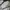 Adidas Streetwear Y2K Windbreaker Pria multicolor white photo 3