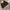 Vintage Leather jacket Pria brown photo 1
