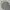 Giordano Casual Polo shirt Pria gray photo 1