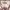 Vintage Fleece Pria burgundy white photo 3