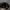 National Geographic Casual Hat Pria black photo 4