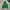 WHO.A.U Casual Hoody Pria green photo 1