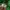 WHO.A.U Casual Hoody Pria green photo 5