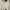 Casual Sweater Wanita white photo 3