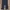 Dickies Vintage Casual Casual pants Pria black photo 3