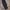Dickies Vintage Casual Casual pants Pria black photo 1