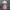 Tommy Hilfiger Y2K Lolita Babydoll dress Wanita red photo 3